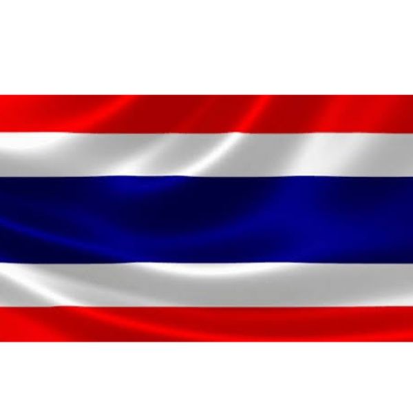 ธงชาติ #6 (60×90)