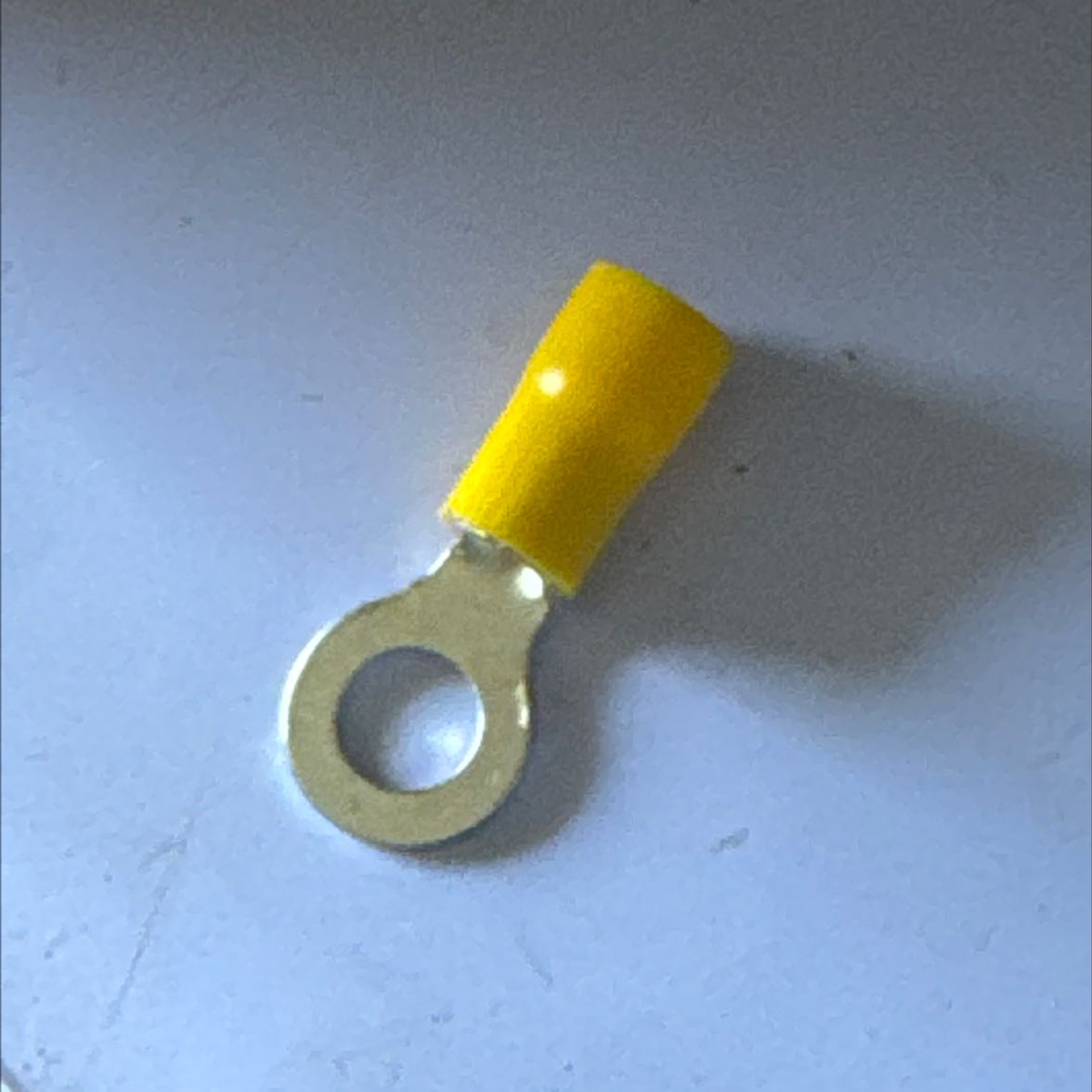 หางปลากลม 5.5-6 yellow