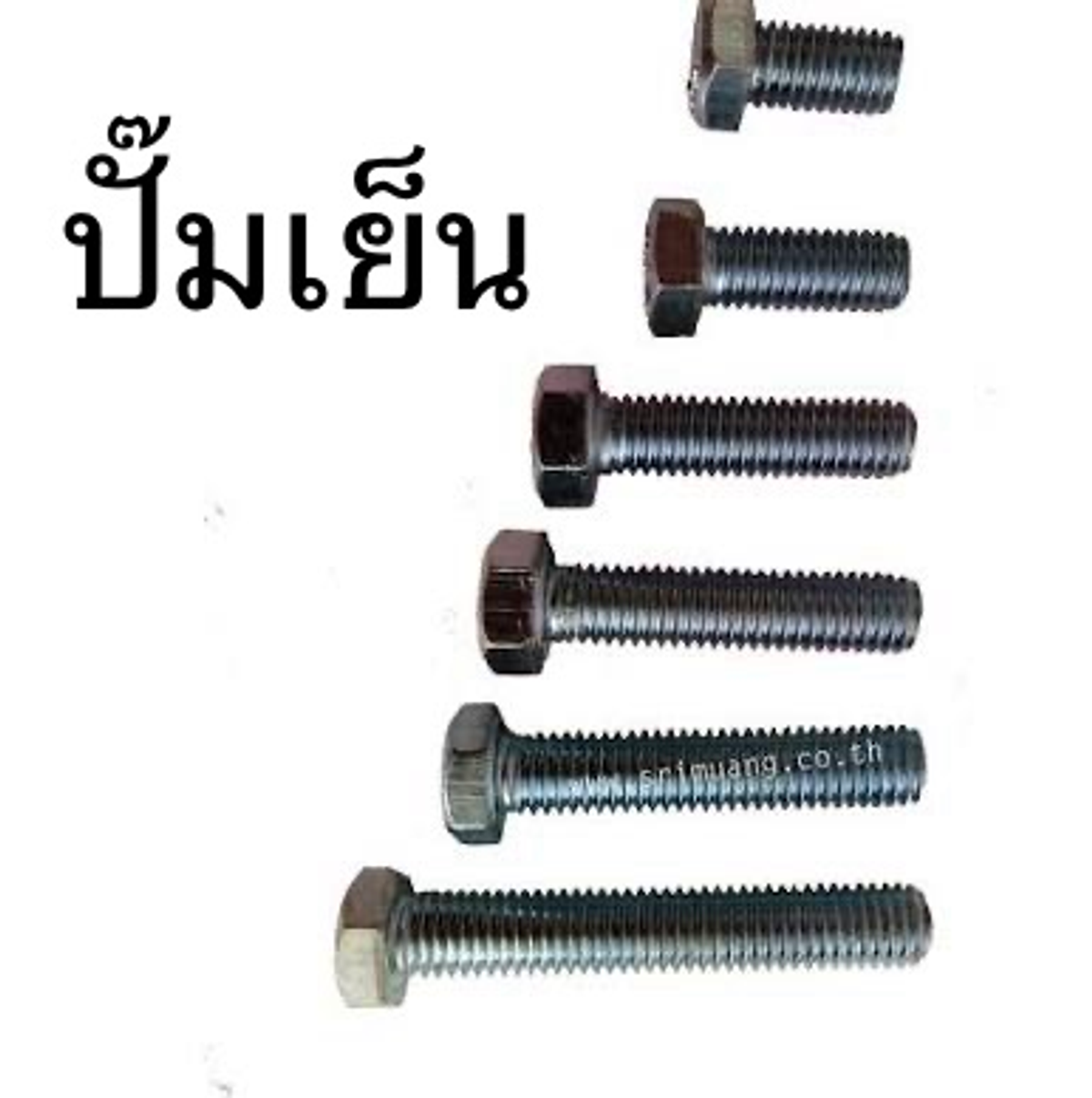 สกรู ปั๊มเย็น 1/2*1" หัวเหลี่ยม