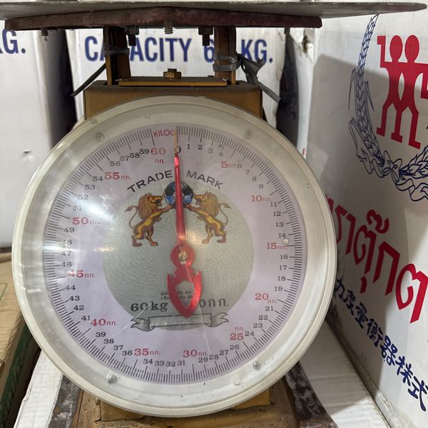 เครื่องชั่ง ตรา เสือคู่จับลูกบอล จานแบน 60 kg