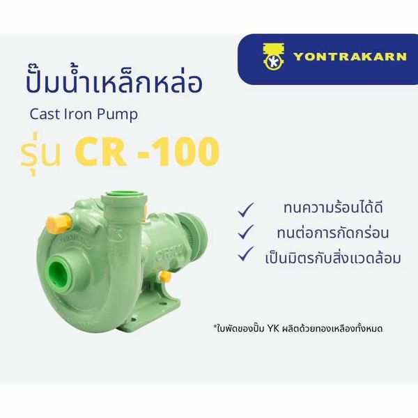 ปั๊มน้ำเหล็กหล่อ 1" CR100 R